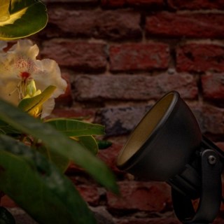 Garden Lights Raf spotti 12 volttia